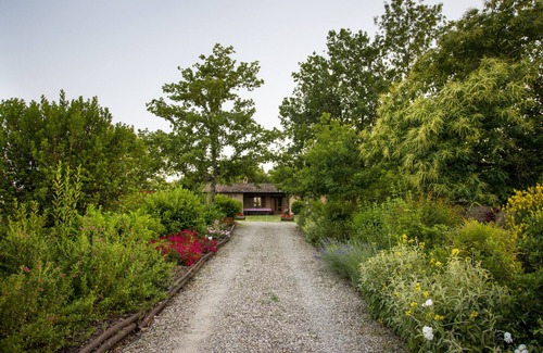 Monticiano Cottage | Typical Tuscan Cottage with swimming pool and park, five minutes from San Galgano