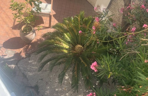 16th Arrondissement House | Typical, very spacious villa with private pool on the seafront
