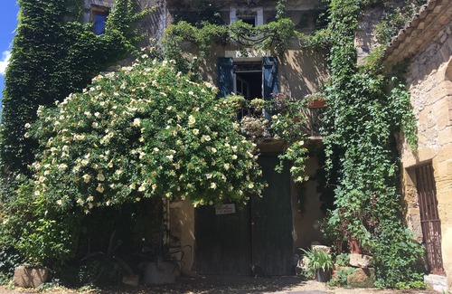 Collias House | Typique Maison de Village Avec Terrasse, à 3 mn de la Rivière