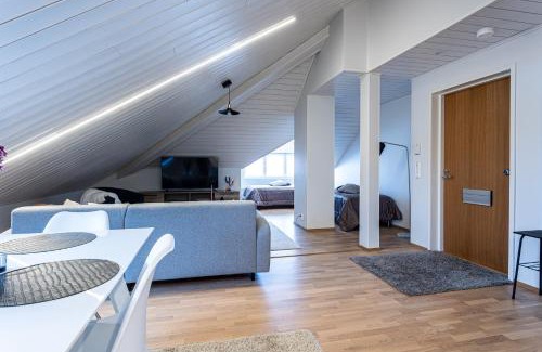 Downtown Kuopio Apartment | Tyylikäs ja tilava kattohuoneisto ydinkeskustassa