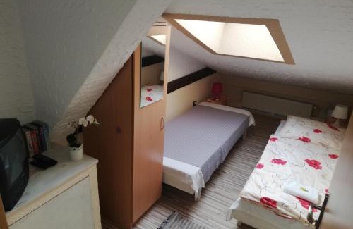 Vysne Ruzbachy House | U Bažanta * - Ubytovanie v súkromí (objekt)