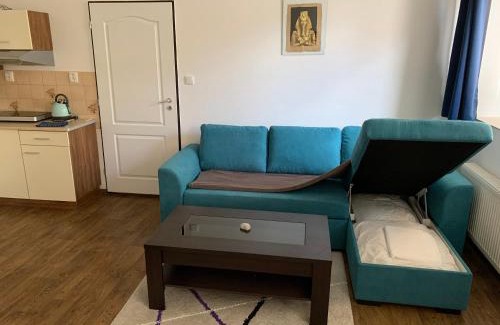 Bohemian-Moravian Highlands Apartment | U lesního muže