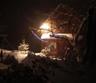 Vorokhta House | U Odesyta
