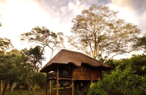 Hluhluwe Cabin | Ubizane Zululand Tree Lodge