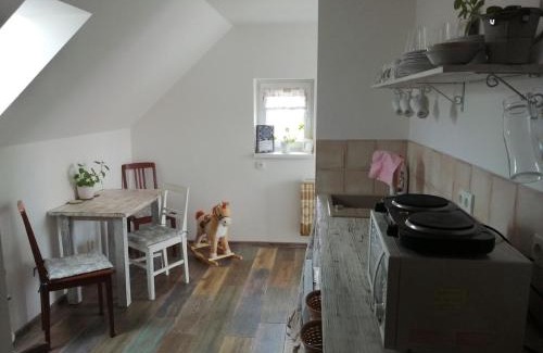Jindrichuv Hradec Apartment | Ubytování Otín