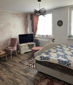Teplice Apartment | Ubytování pro páry, klidné přespání