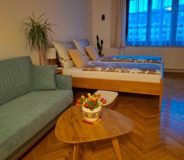 Nachod Apartment | Ubytování u lípy