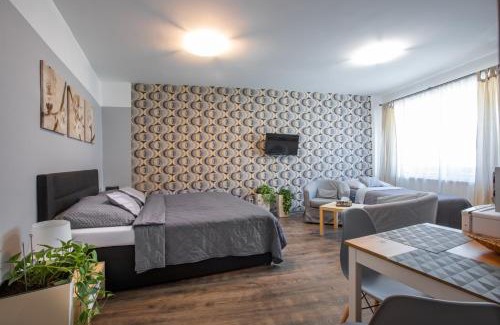 Lanskroun Apartment | Ubytování v centru