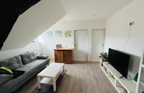 Hlinsko Apartment | Ubytování v podkroví - Hlinsko.