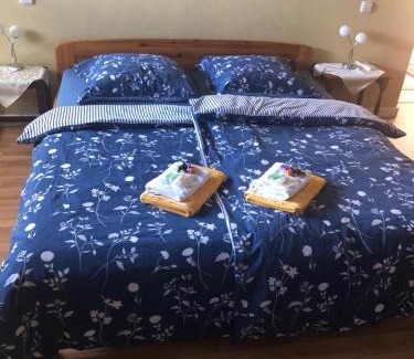 Decin House | Ubytování v soukromí rodinné vily v Děčíně