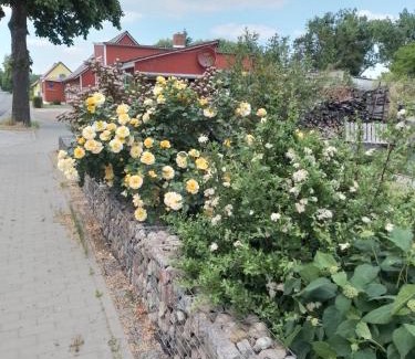 Passow Apartment | Uckermark "Ferienwohnung Sommerfugl "