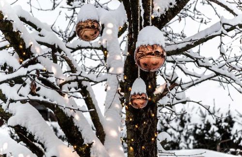 Naz Apartment | Uetzenhof