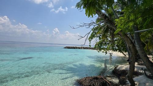 Felidhoo House | Uhoo's Lavish Oasis