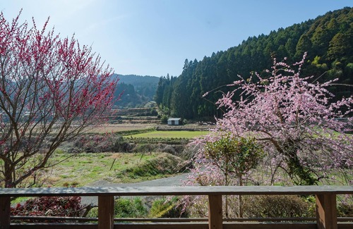 Ukiha House | Ukiha Kojio no Akari