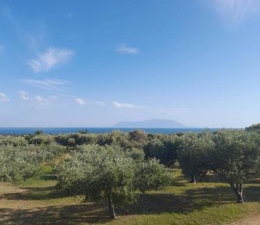 Alexandroupoli House | Ulivi e Mare