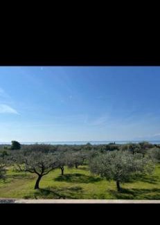 Alexandroupoli House | Ulivi e Mare
