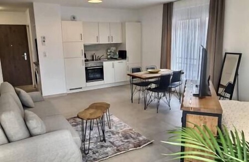 Bourgfelden Apartment | Ultra comfortable bright studio near the center of Basel