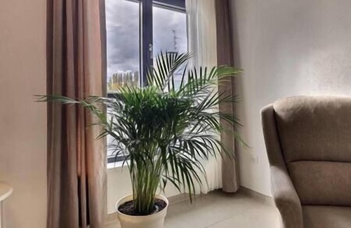Bourgfelden Apartment | Ultra comfortable bright studio near the center of Basel