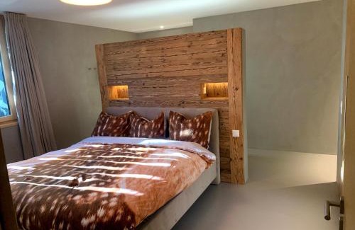 Arosa Apartment | Ultra Luxurious 2-family Apartment on the Slopes in Arosa, CH