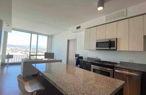 Wilshire Center Apartment | Ultra Modern 1BD 1BA Flats in heart of LA - true gem