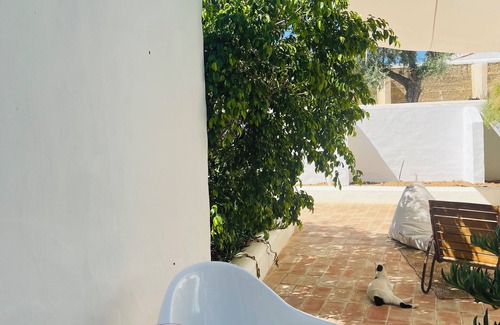 Entradas Apartment | uma casa em entradas Guesthouse Alentejo