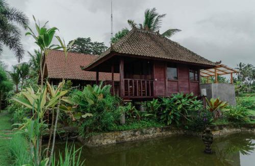 Taro Villa | Umadesa Villa Tegallalang