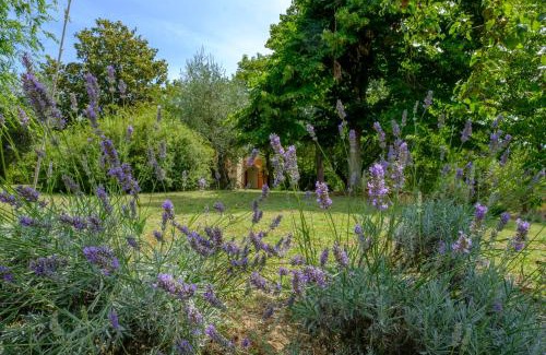 Giove Bed & Breakfast | Umbria Country B&B