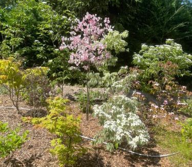 Samois-sur-Seine House | Un jardin en forêt