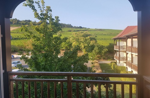 Bergheim Apartment | Un Petit Nid au Coeur de L'alsace