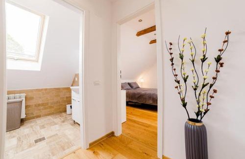 Vladeni Apartment | Un sejur de neuitat.