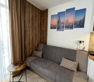 Central Serbia Apartment | UNA GENCIAN RESORT KOPAONIK