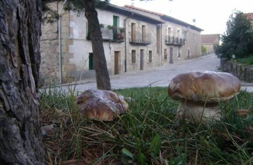 Molinos de Duero Cottage | Uncle Benito's House for 6 people