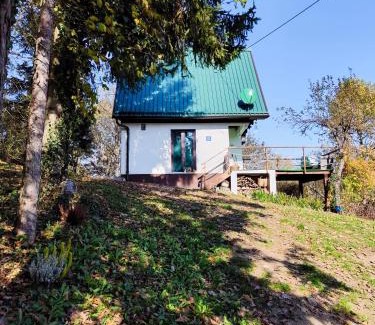 Staro Petrovo Selo Ski Chalet | UNDER THE GREEN ROOF