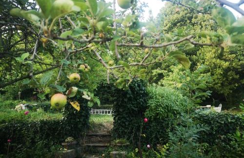 Saint-Pons-de-Thomieres House | Une chambre au jardin
