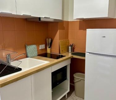 Albi Apartment | Une terrasse à 200m de la cathédrale - 4 personnes - logement entièrement rénové