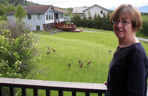 Homer House | Unforgettable Views! Large Home, Peace & Comfort! Alaska Experience Guest House