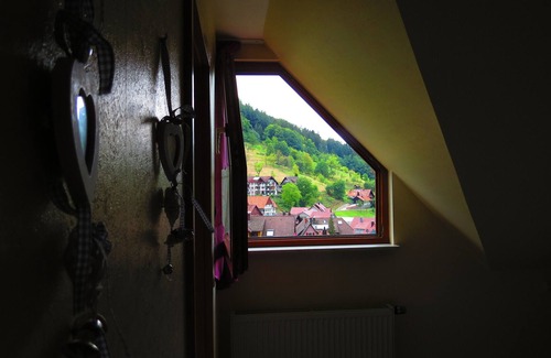 Ottenhofen im Schwarzwald Apartment | Unique apartment in the middle of nature