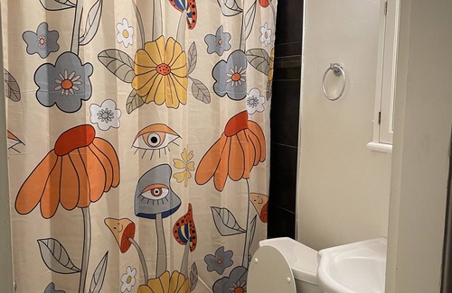 Capitol Hill Apartment | Uniqua and Tranquil near UofC and SAIT