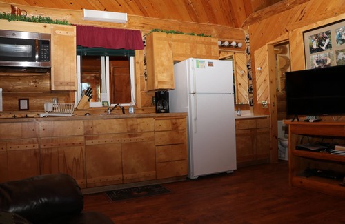 Anchor Point Cabin | Unique Alaskan log home in trees & wild flowers on 14-acre private homestead.