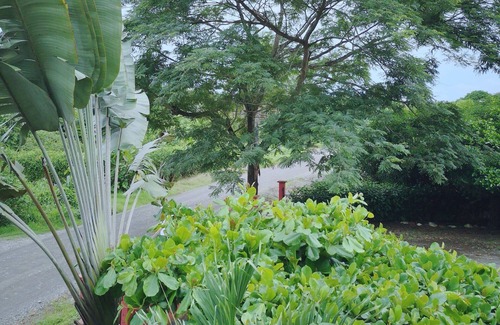 Parrita Apartment | Unique aparthotel surrounded by nature only 3 miles off the ocean.