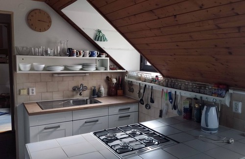 Zlin House | Unique attic with garden, library, bathtub, wifi & free parking
