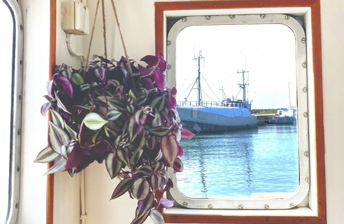 Hasle Boat Rental | Unique Boat Experience - Bornholm
