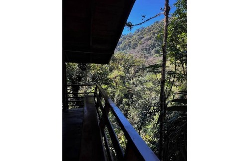 Cerro Punta Apartment | Unique eco-cabin inside cloudforest “PILA”