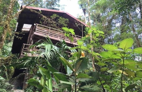 Cerro Punta Apartment | Unique eco-cabin inside cloudforest “PILA”