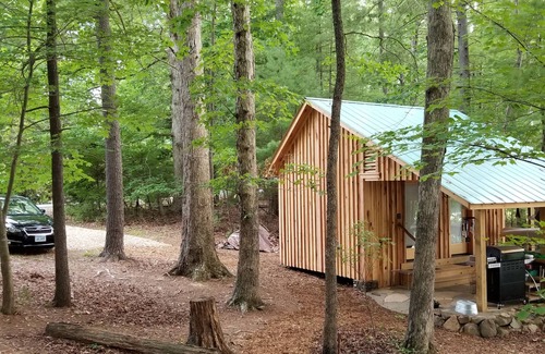 Huddleston Cabin | Unique Historical log cabin with private beach and 300 ft. of waterfrontage.