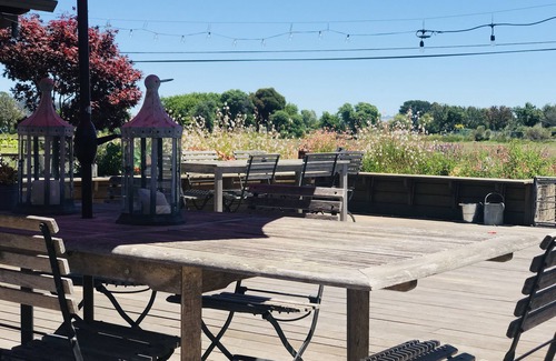 Larkspur House | Unique home on tidal creek and marsh.