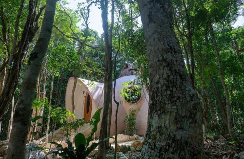 Soliman Bay Cabin | Unique Jungle Dome 2 Queen Beds