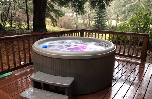 Paradise Estates Cabin | Unique Mt. Rainier Cabin - Private Hot Tub - Wood Stove - Snowshoes