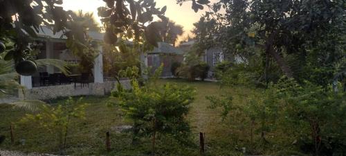 Sanyang House | Unique Owl Apartments