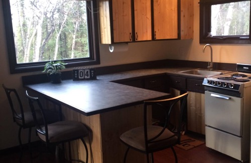 Healy Cabin | Unique, Quiet Cabin Near Denali with Full Kitchen, Alaskan Outhouse